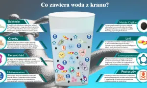 Co zawiera woda z kranu? Zaskakujące składniki i ich wpływ na zdrowie